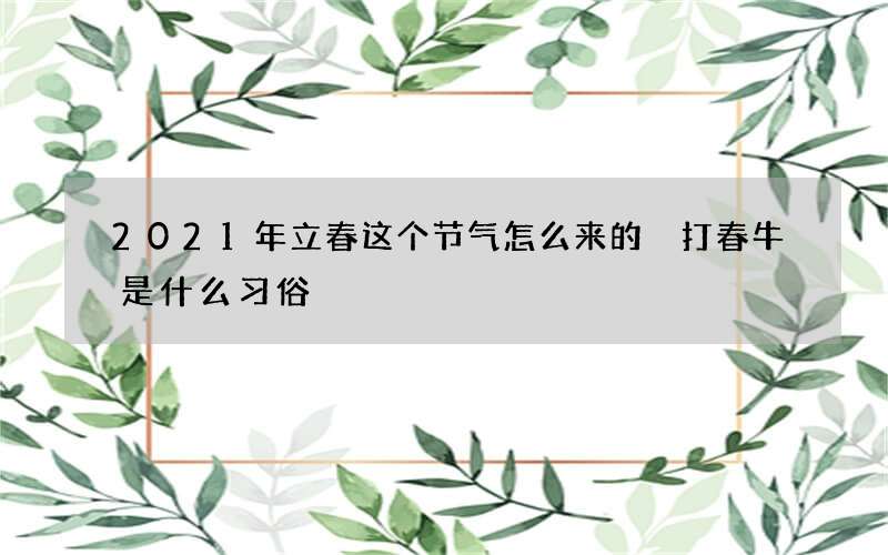 2021年立春这个节气怎么来的 打春牛是什么习俗